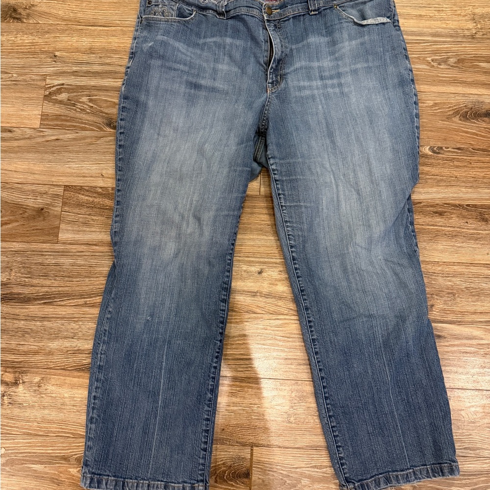 Venezia Size 28 Average Jeans